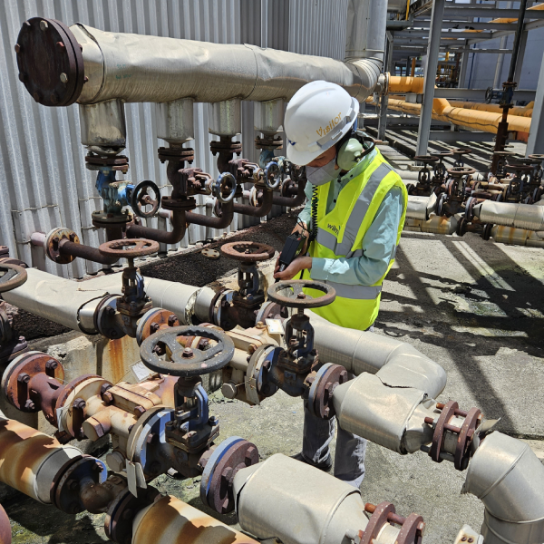 Inspection - Steam Trap Survey 1